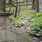 Kamp Na Otoku - Ob Savinji Ljubno