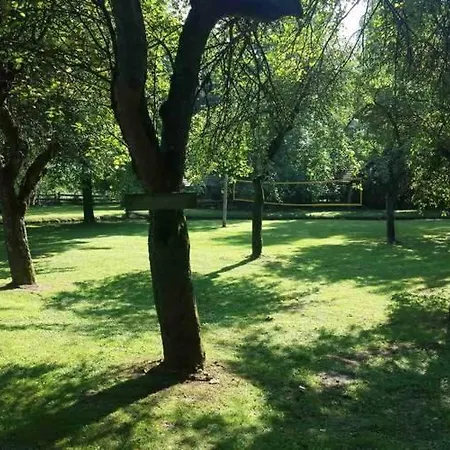 Kamp Na Otoku - Ob Savinji