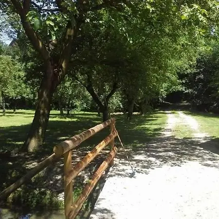 Camping Kamp Na Otoku - Ob Savinji