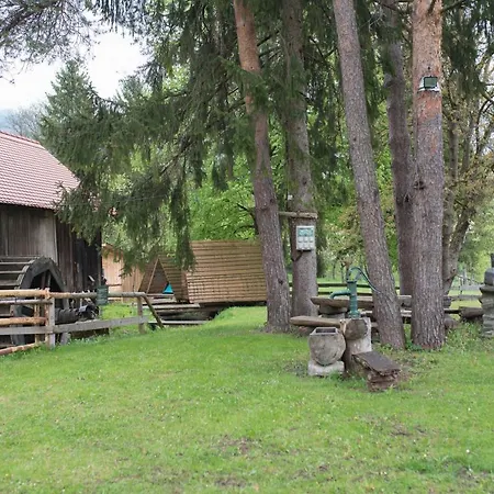 Kamp Kamp Na Otoku - Ob Savinji Ljubno