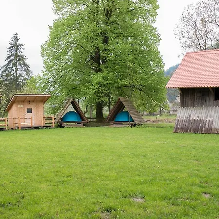 Kamp Kamp Na Otoku - Ob Savinji *