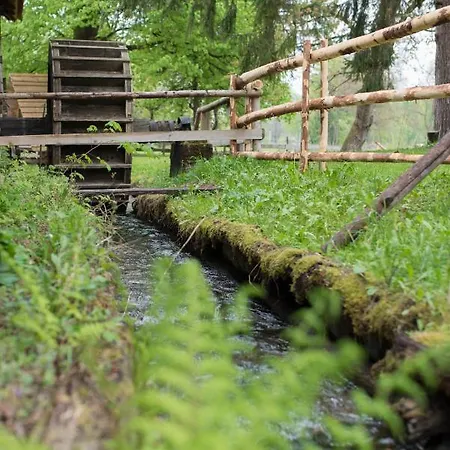 Kamp Kamp Na Otoku - Ob Savinji