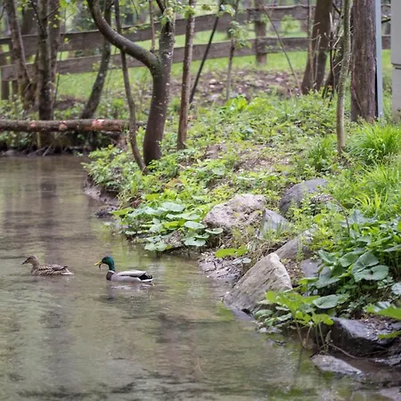 Kamp Na Otoku - Ob Savinji Ljubno