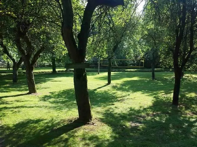 Kamp Na Otoku - Ob Savinji