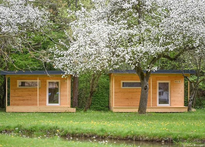 Kamp Na Otoku - Ob Savinji Ljubno