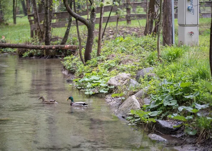 Kamp Na Otoku - Ob Savinji Ljubno